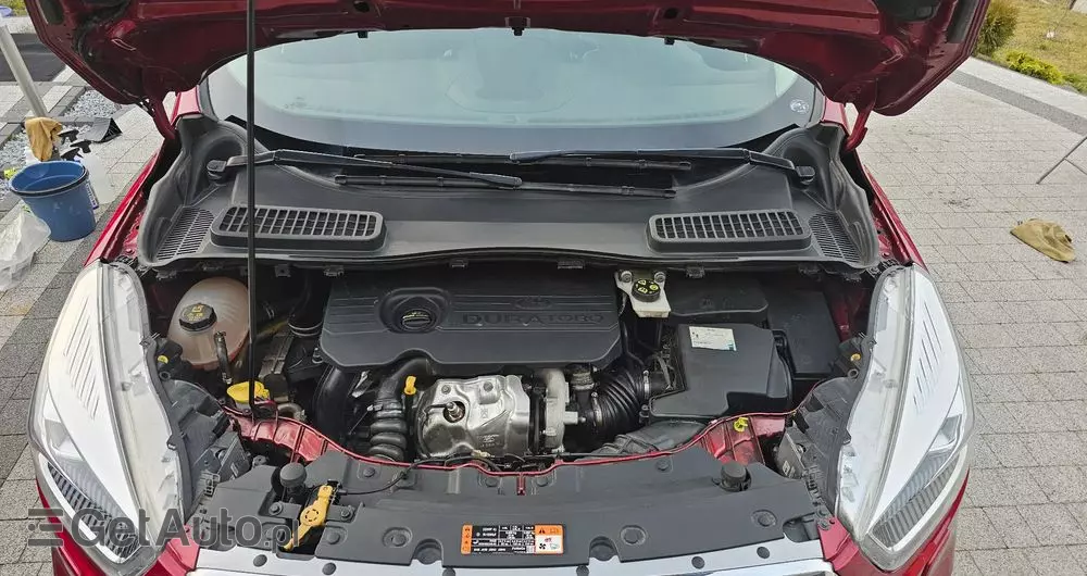 FORD Kuga 1.5 EcoBlue FWD Titanium X