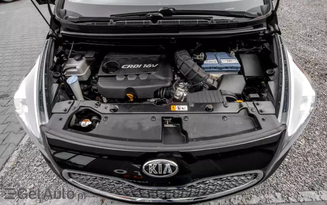 KIA Carens 1.7 CRDi Edition 7