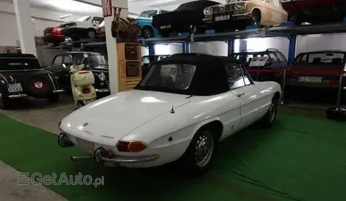 ALFA ROMEO Spider 