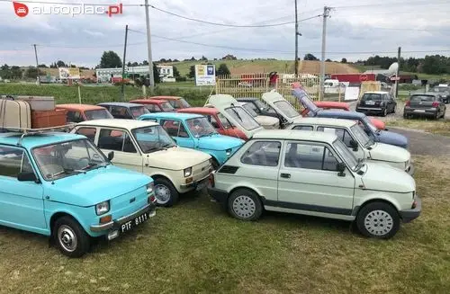 FIAT 126p 