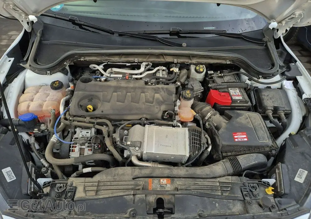 FORD Focus 2.0 EcoBlue ST-Line X