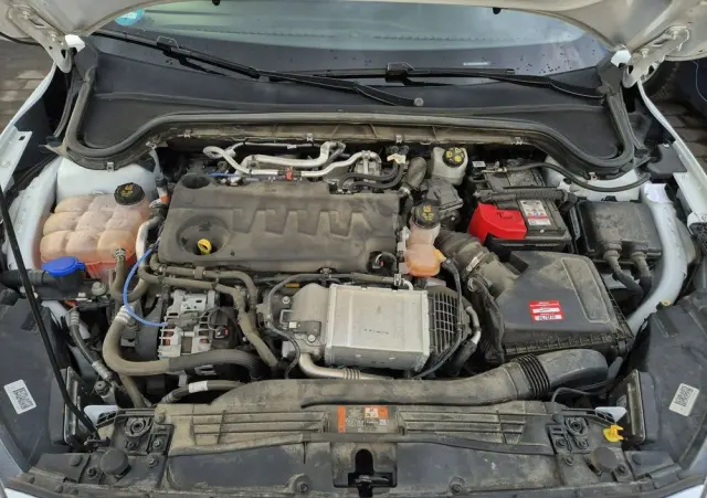 FORD Focus 2.0 EcoBlue ST-Line X