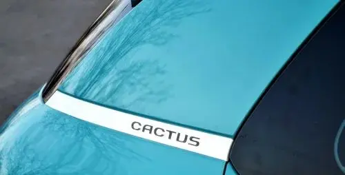 CITROEN C4 Cactus 
