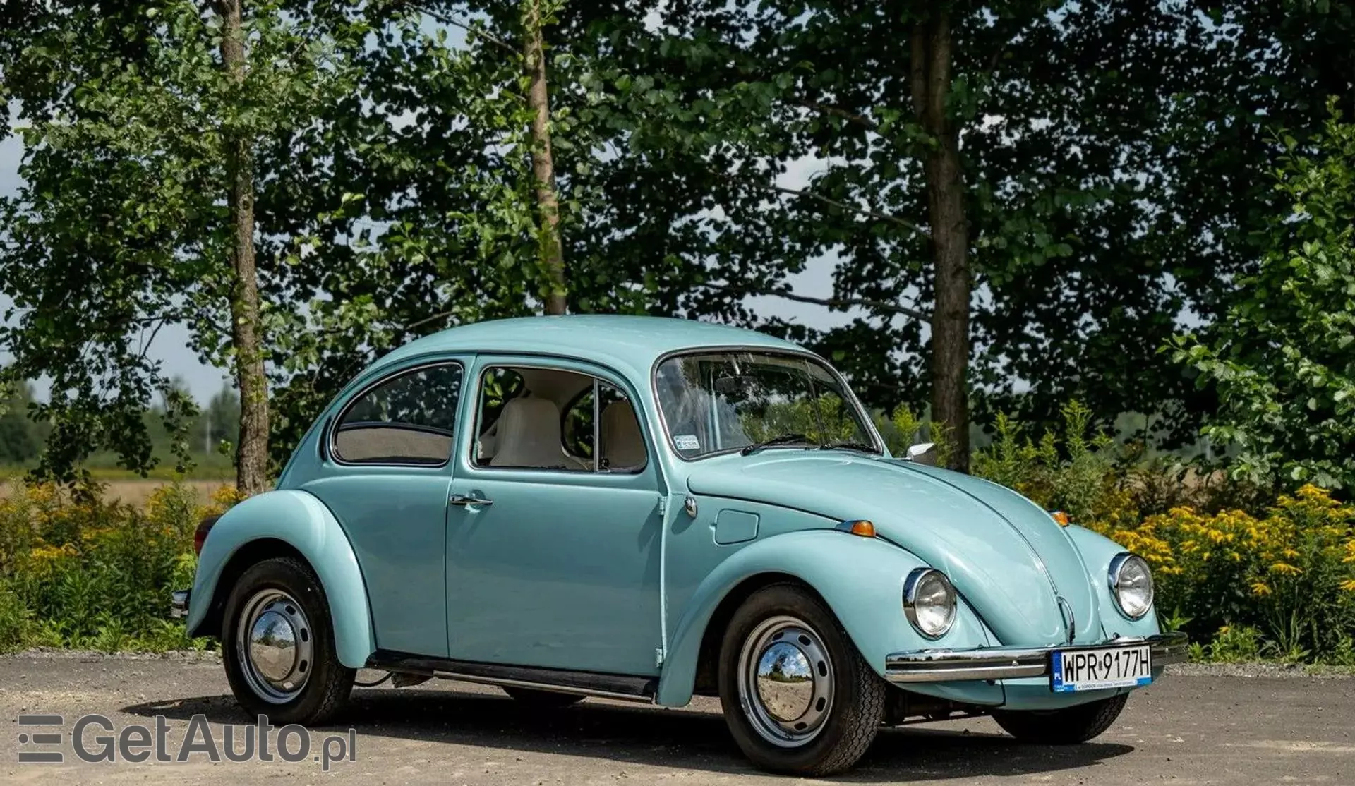 VOLKSWAGEN Beetle 