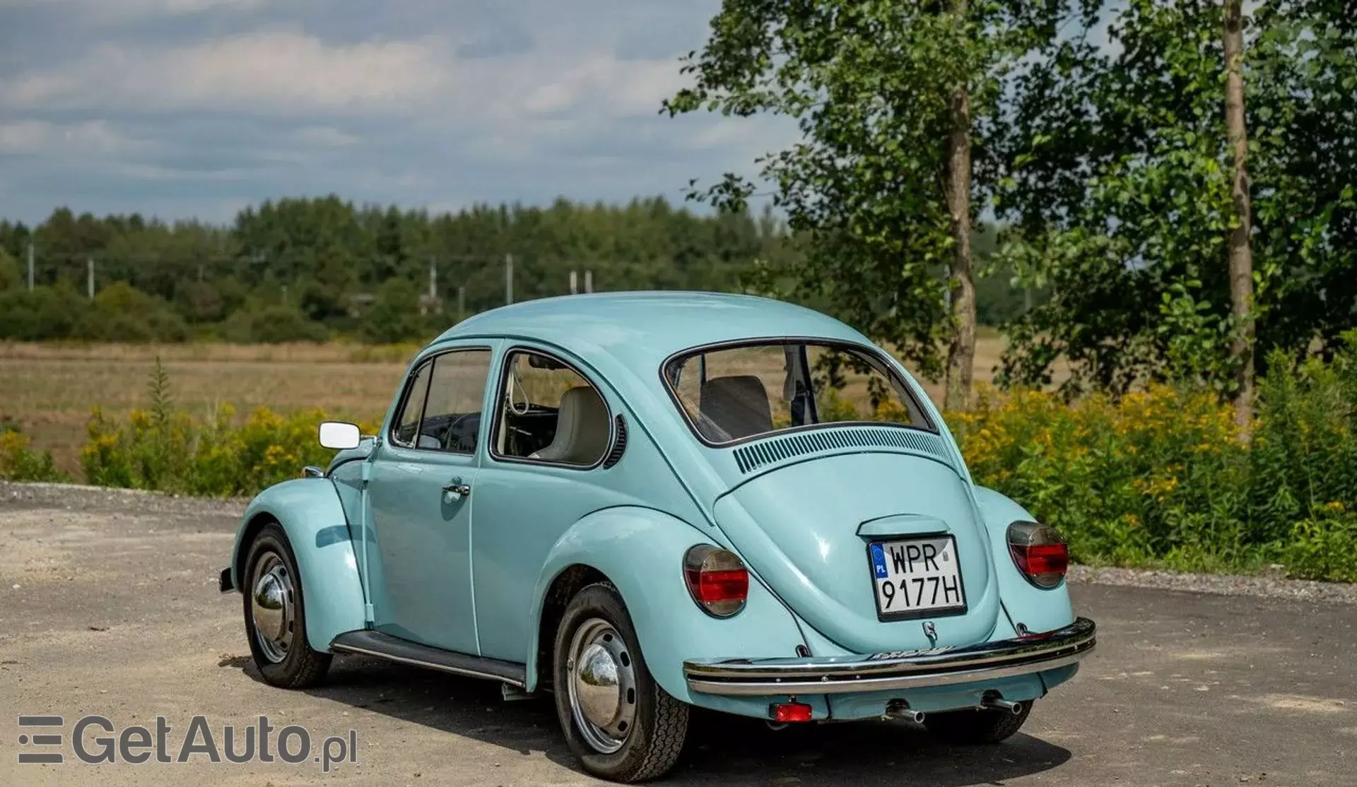 VOLKSWAGEN Beetle 