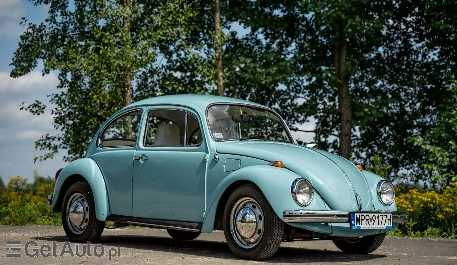 VOLKSWAGEN Beetle 