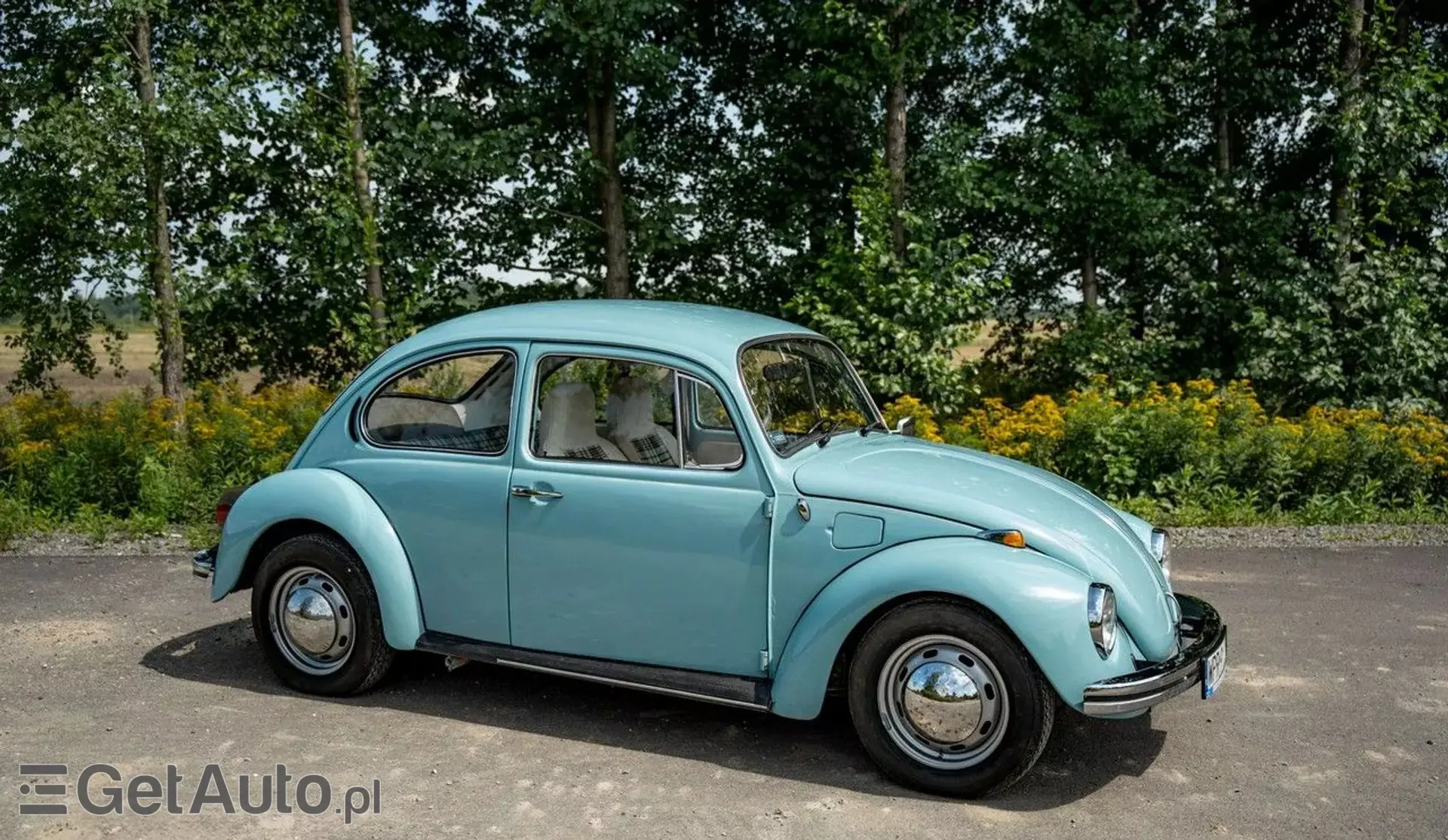 VOLKSWAGEN Beetle 