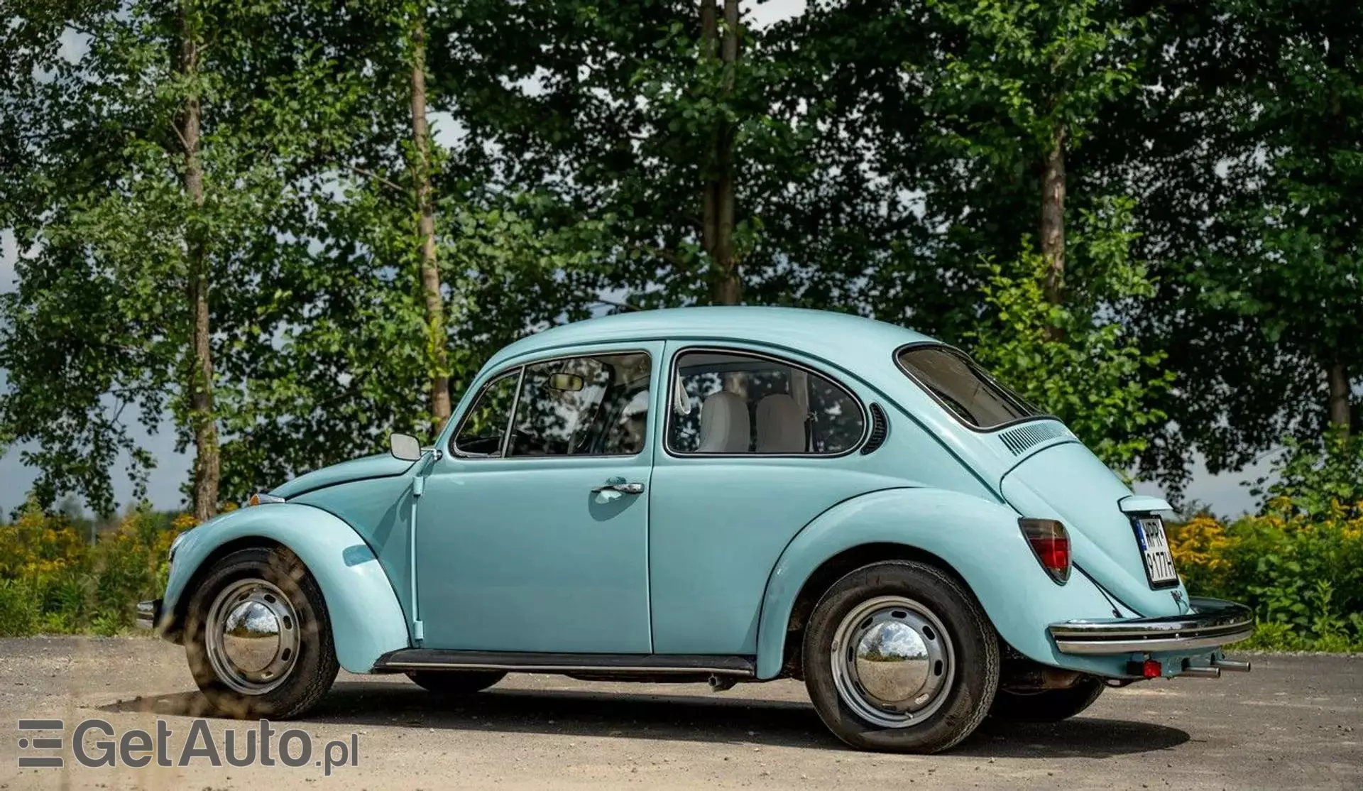 VOLKSWAGEN Beetle 