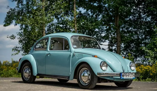 VOLKSWAGEN Beetle 