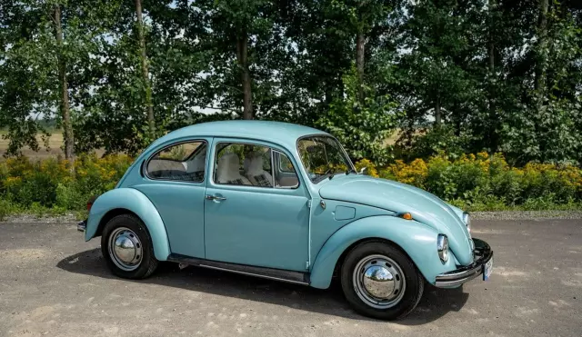 VOLKSWAGEN Beetle 