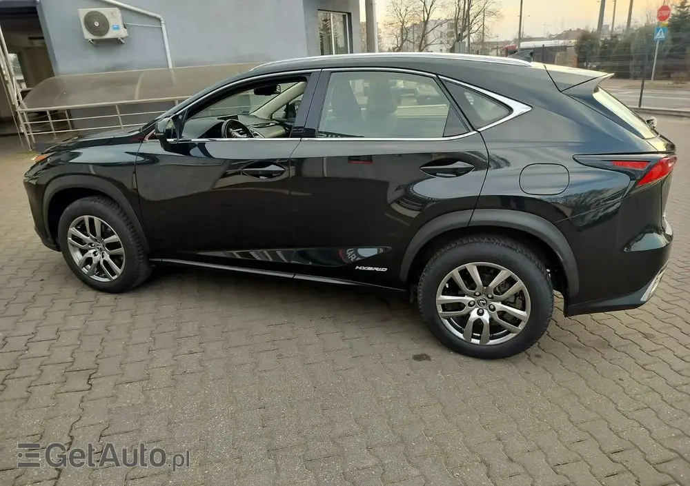 LEXUS NX 300h Business Edition AWD