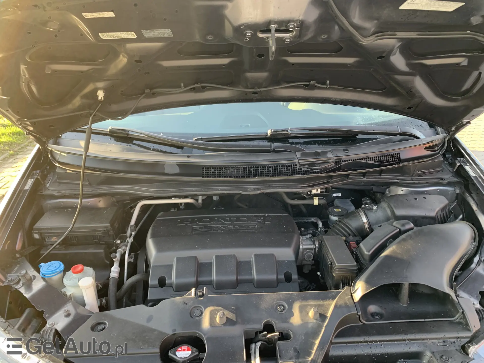 HONDA ODYSSEY 