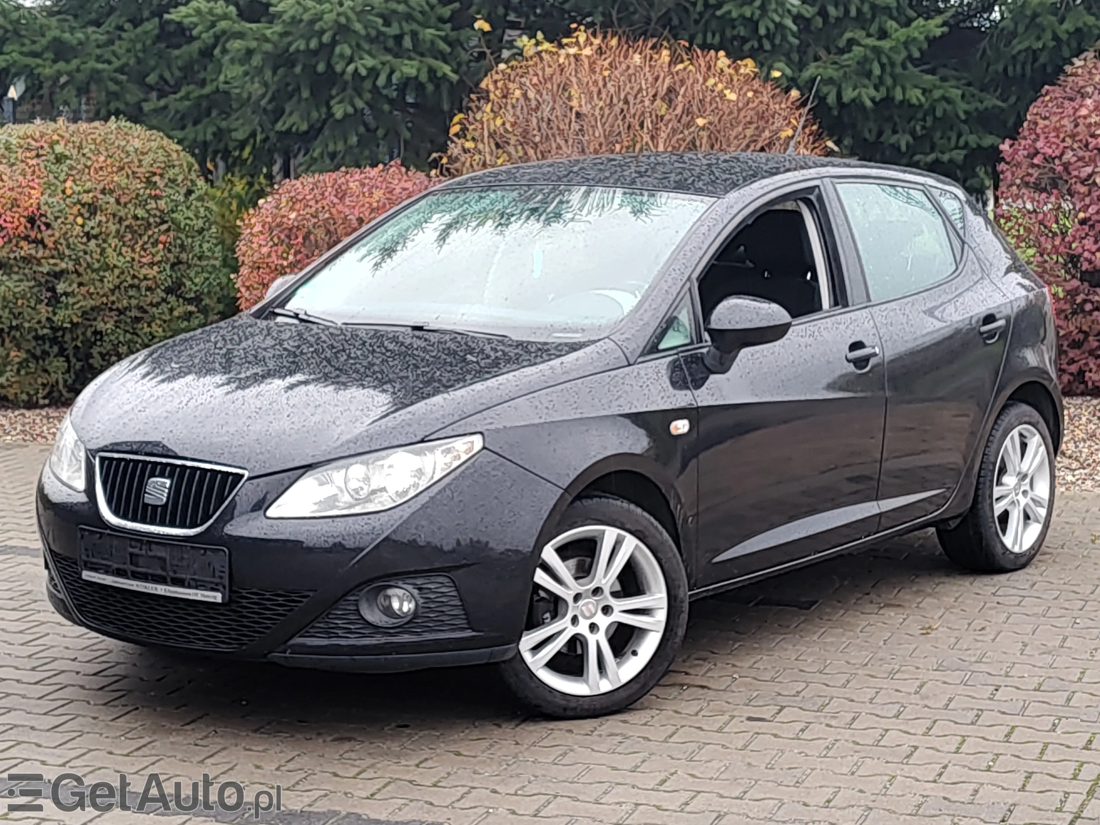 SEAT Ibiza COOL