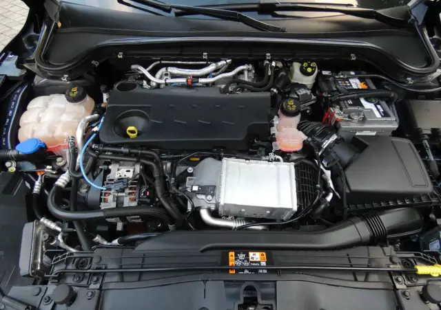 FORD Focus 2.0 EcoBlue ST-Line