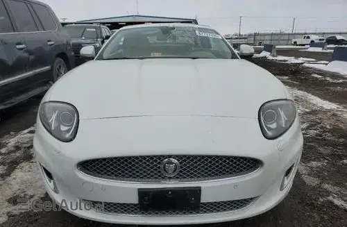 JAGUAR XK 