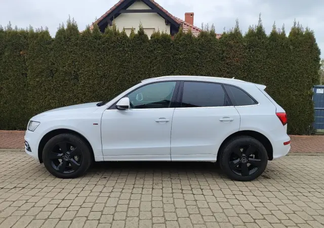 AUDI Q5 3.0 TDI (clean diesel) quattro S tronic