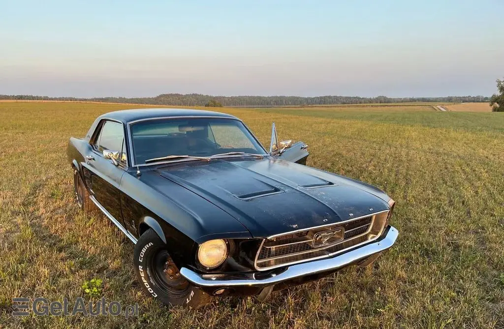 FORD Mustang 
