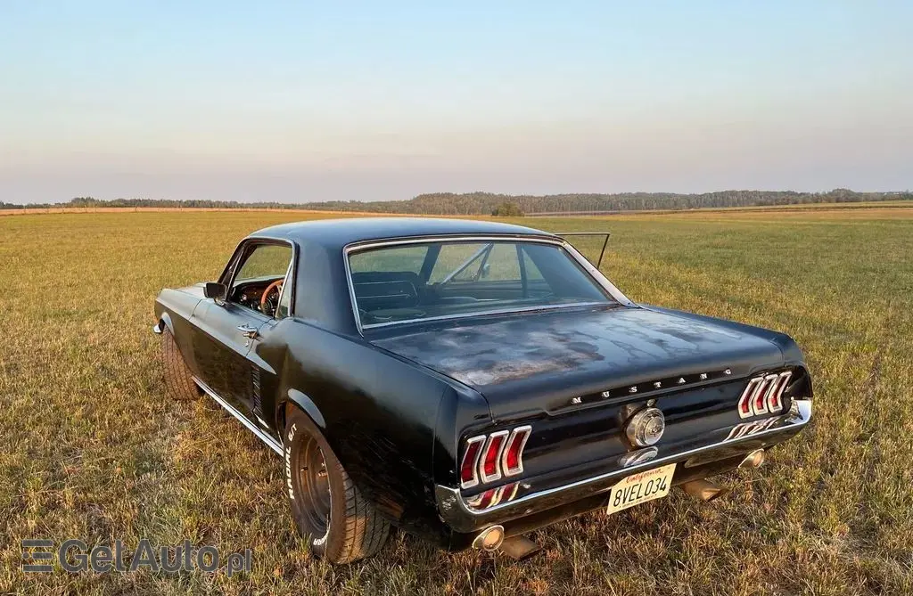 FORD Mustang 