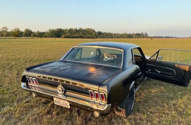 FORD Mustang 