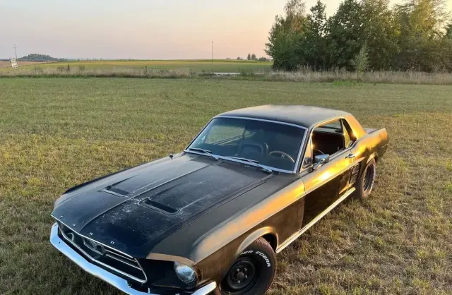 FORD Mustang 