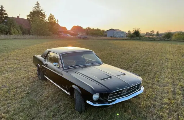 FORD Mustang 