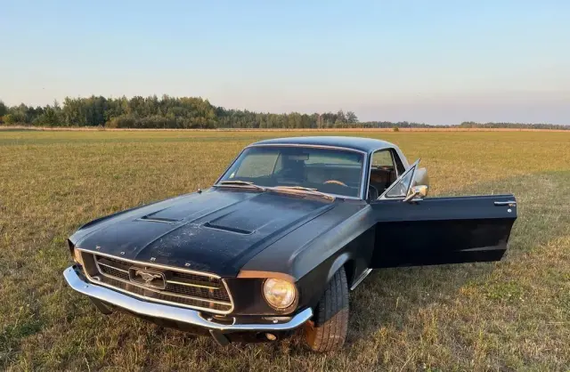 FORD Mustang 