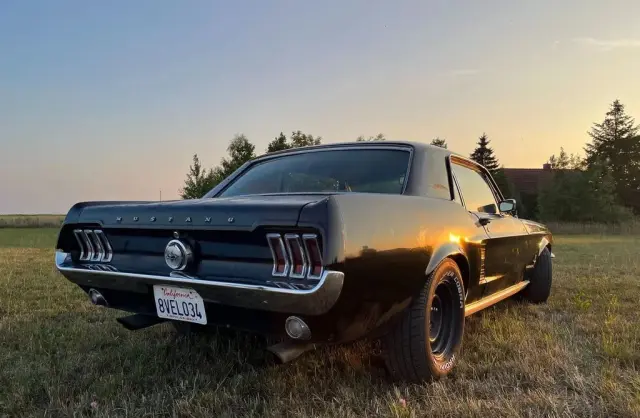 FORD Mustang 