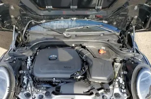 MINI 2025 