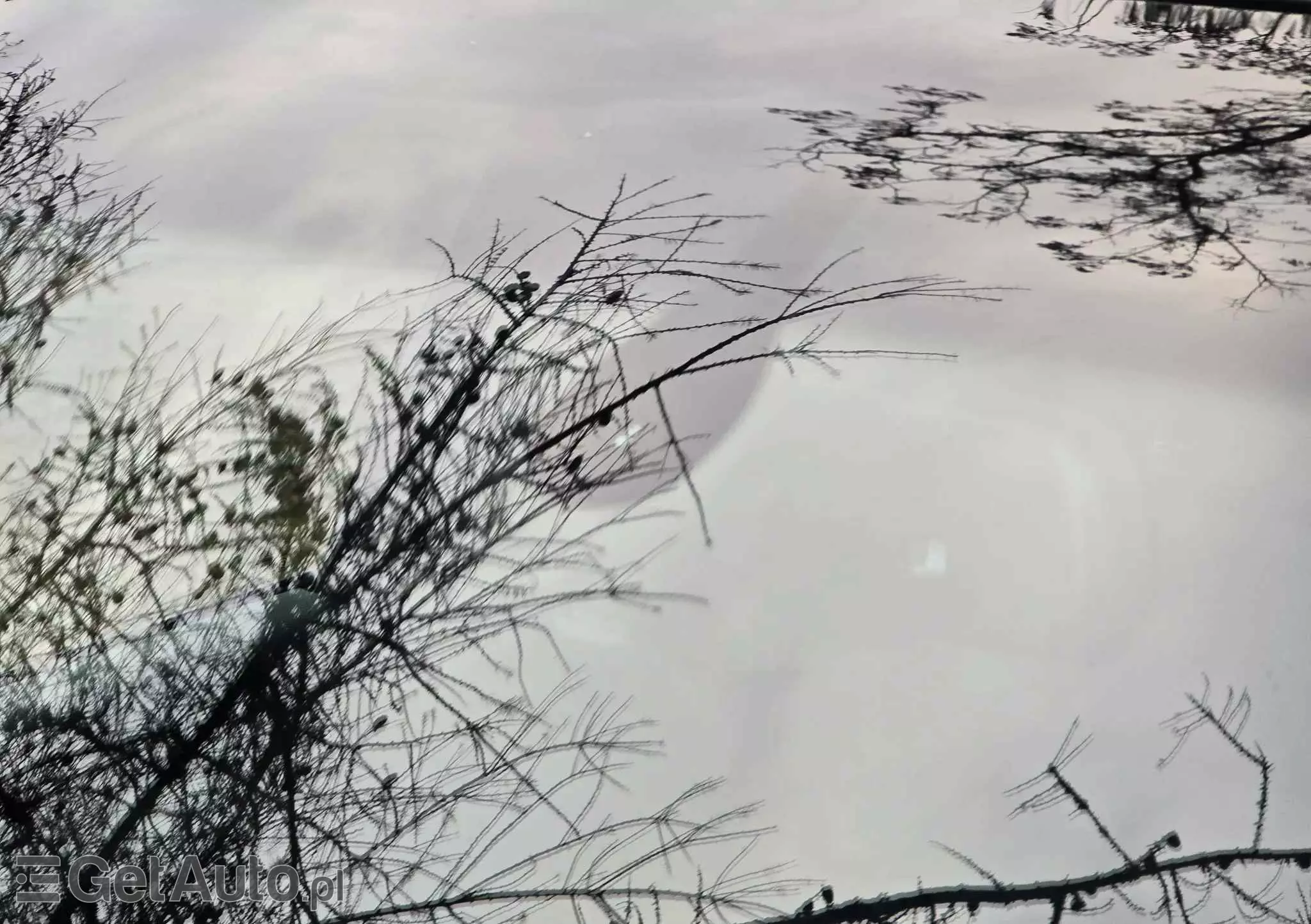 AUDI Q5 2.0 TDI Quattro Sport S tronic