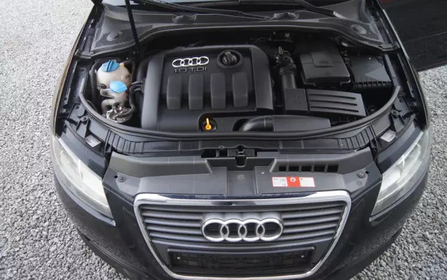 AUDI A3 1.9 TDI Attraction