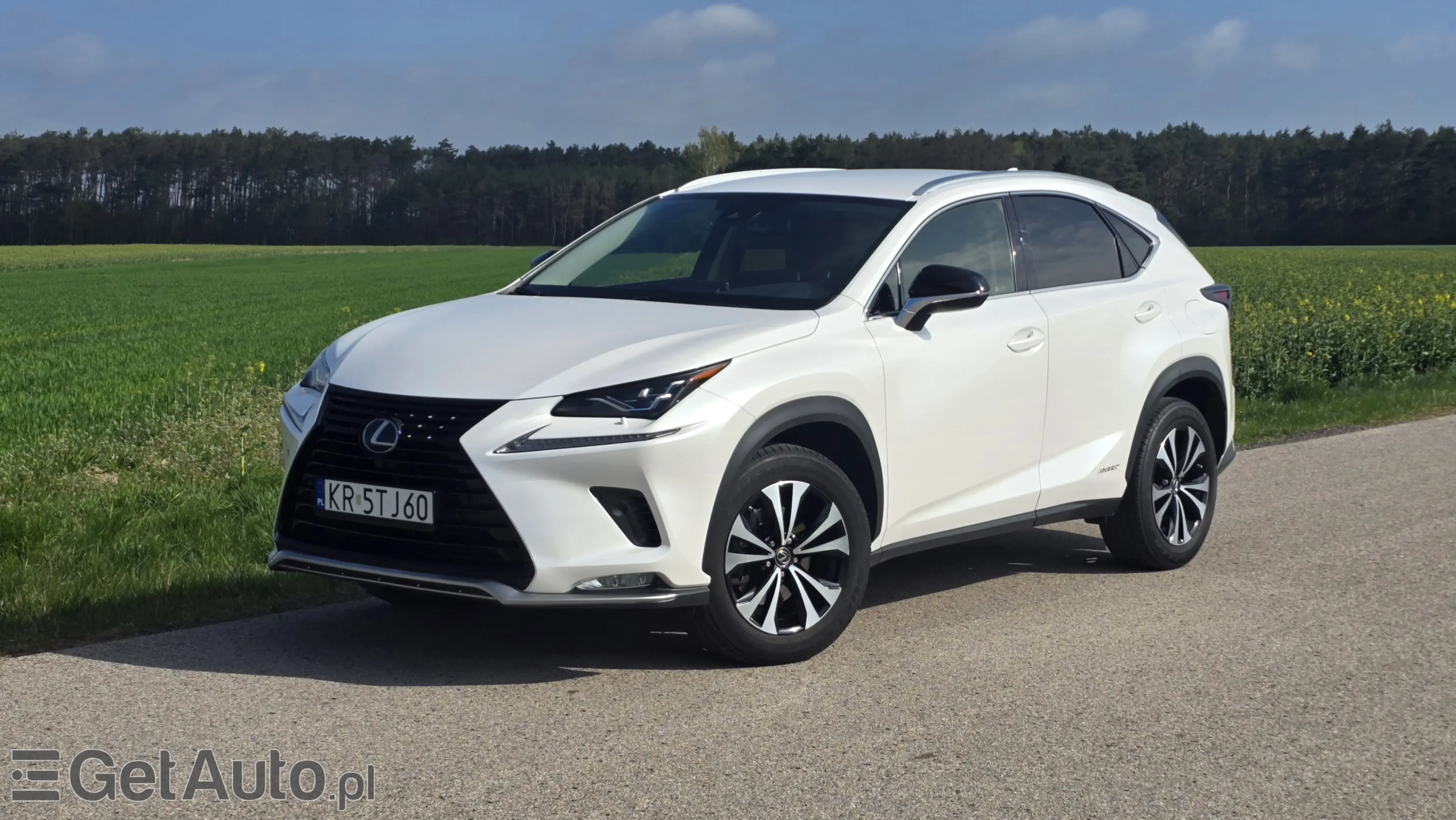 LEXUS NX E-Four Impression AWD
