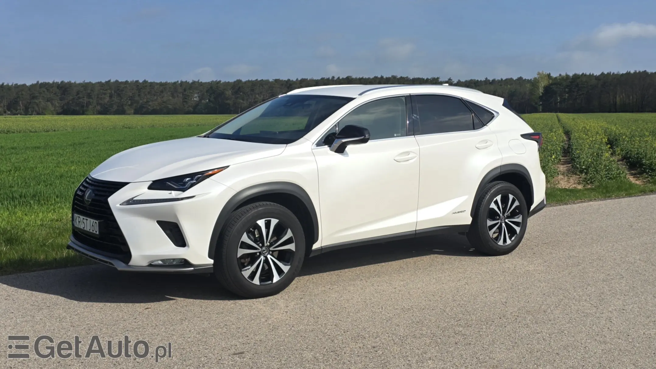 LEXUS NX E-Four Impression AWD