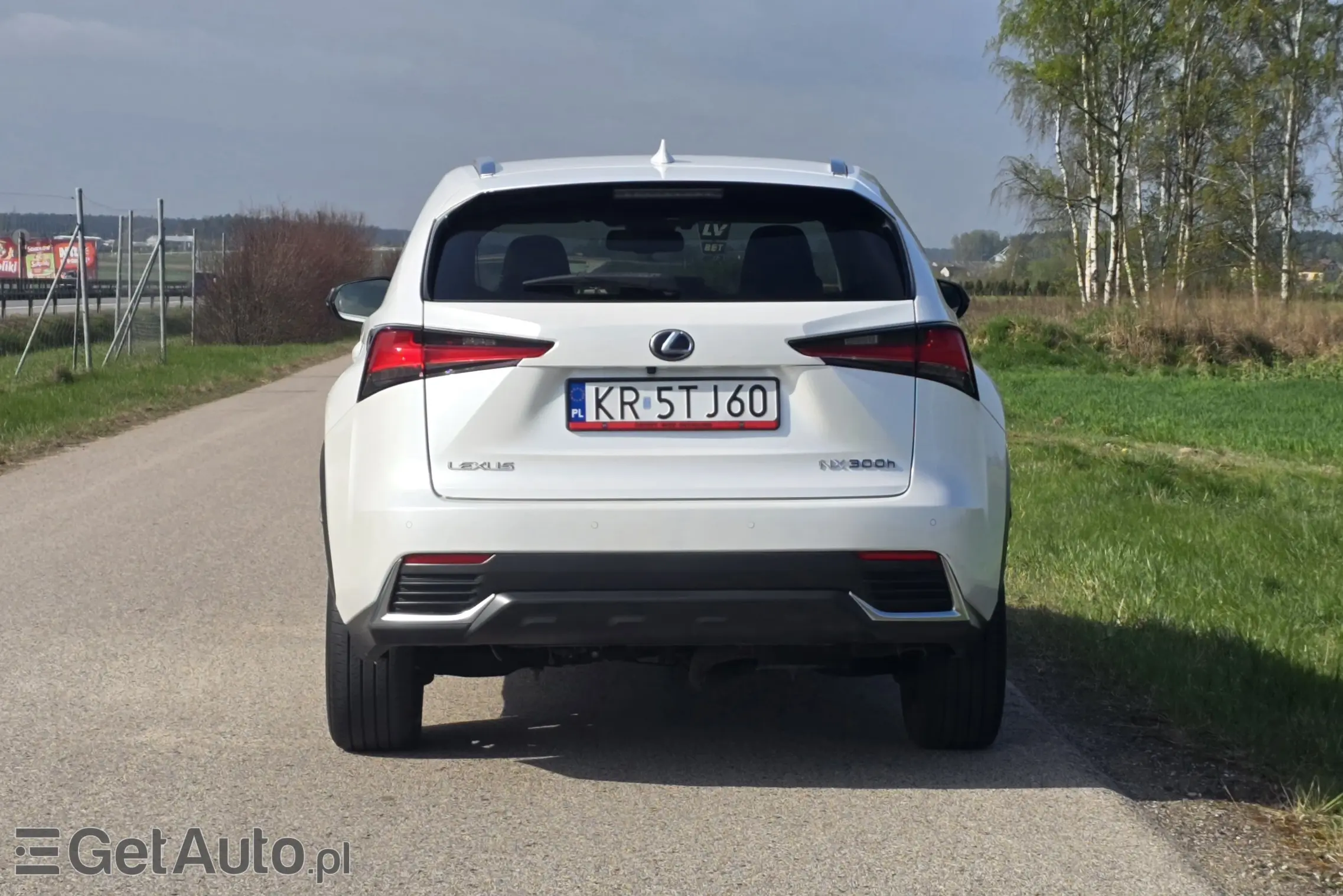 LEXUS NX E-Four Impression AWD