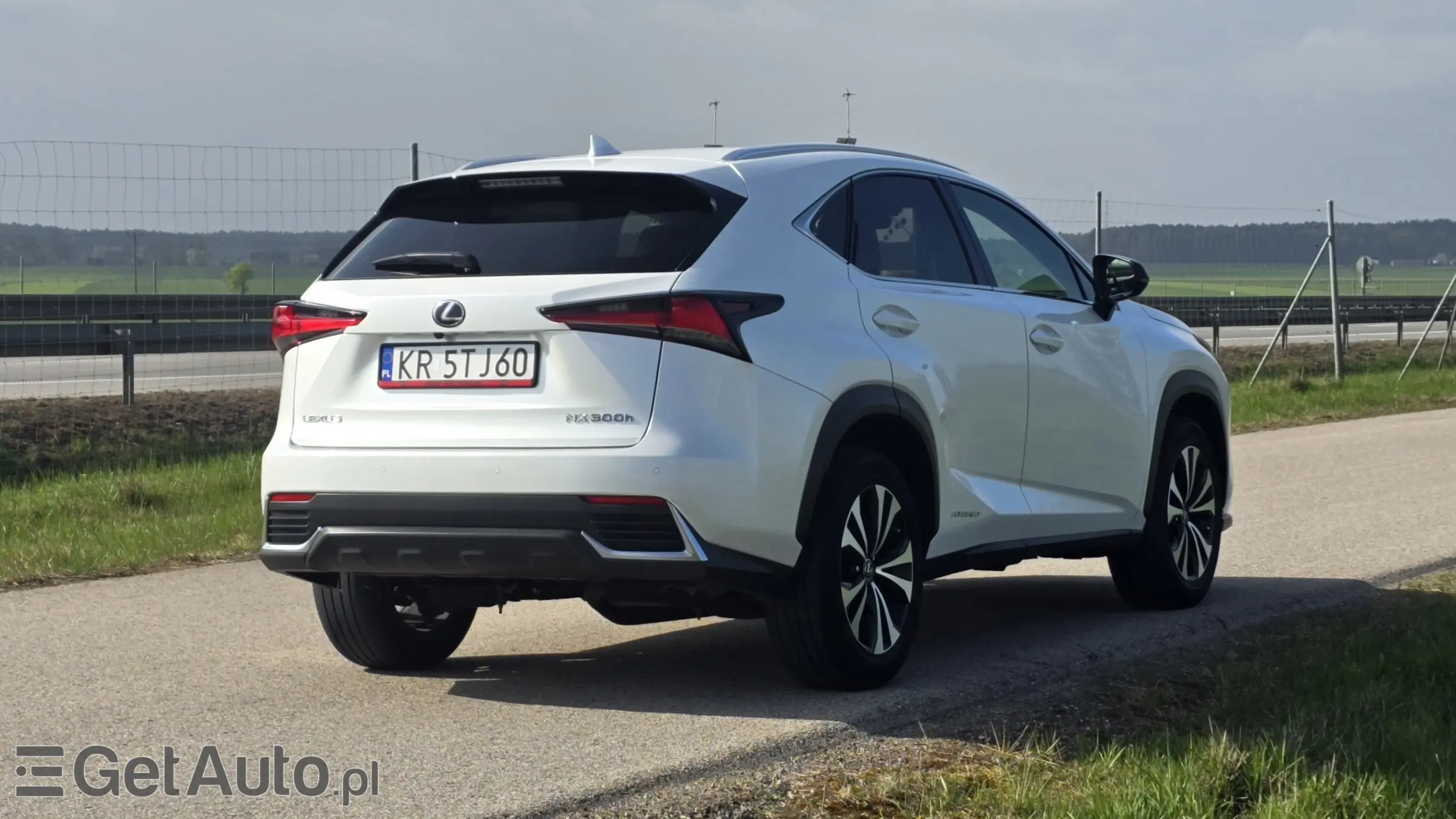 LEXUS NX E-Four Impression AWD