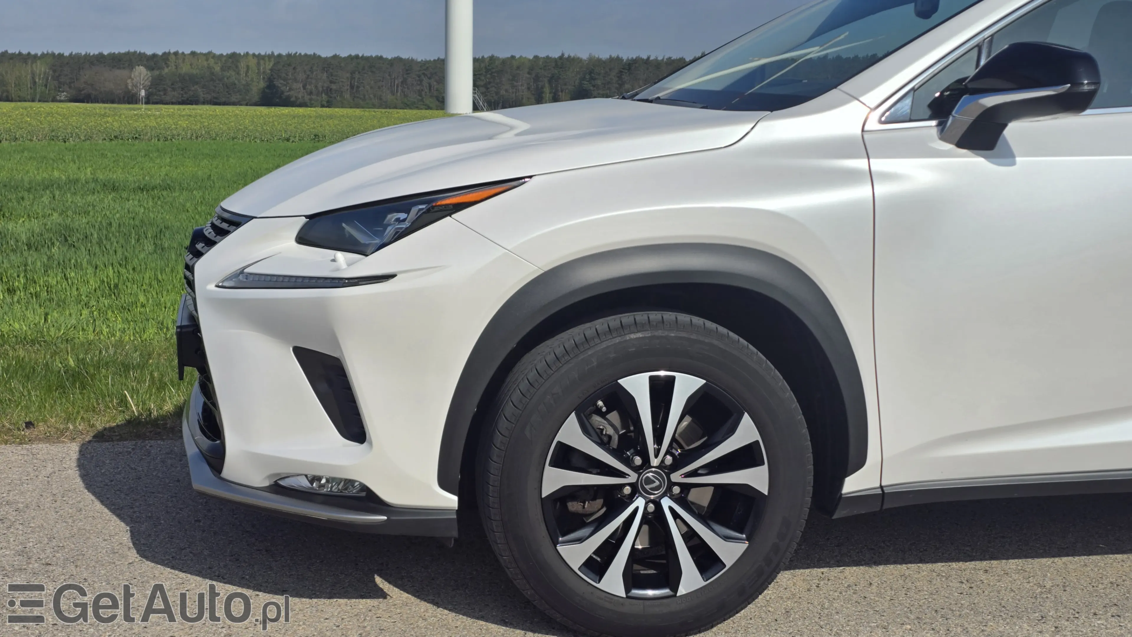 LEXUS NX E-Four Impression AWD