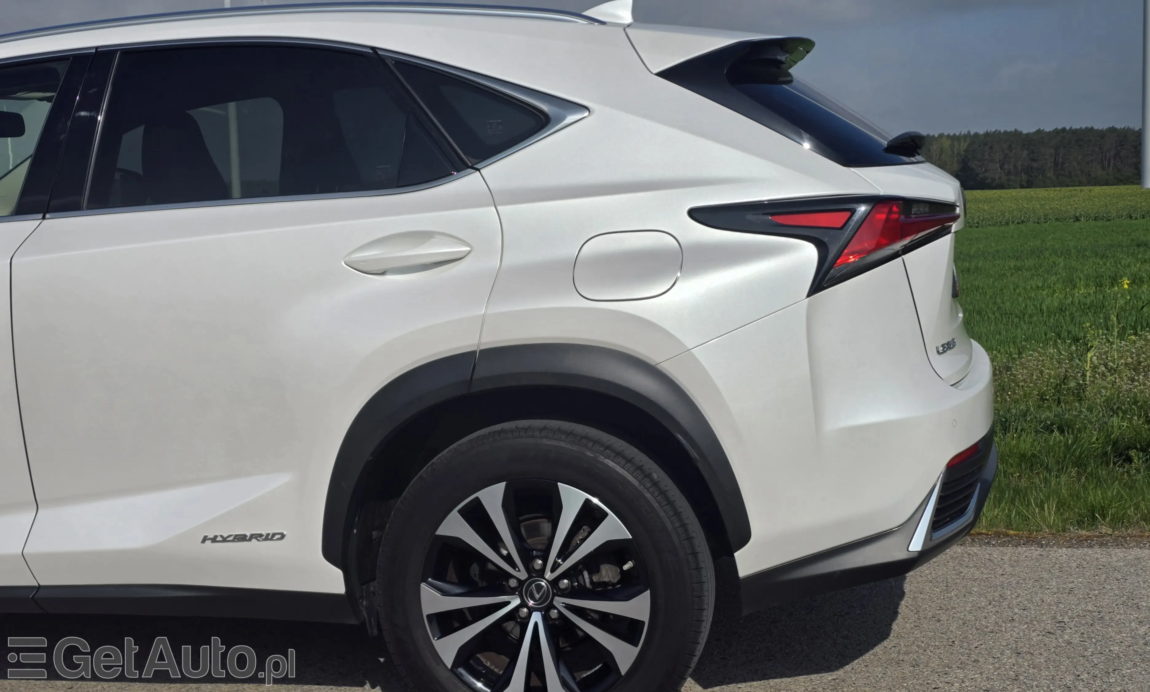 LEXUS NX E-Four Impression AWD
