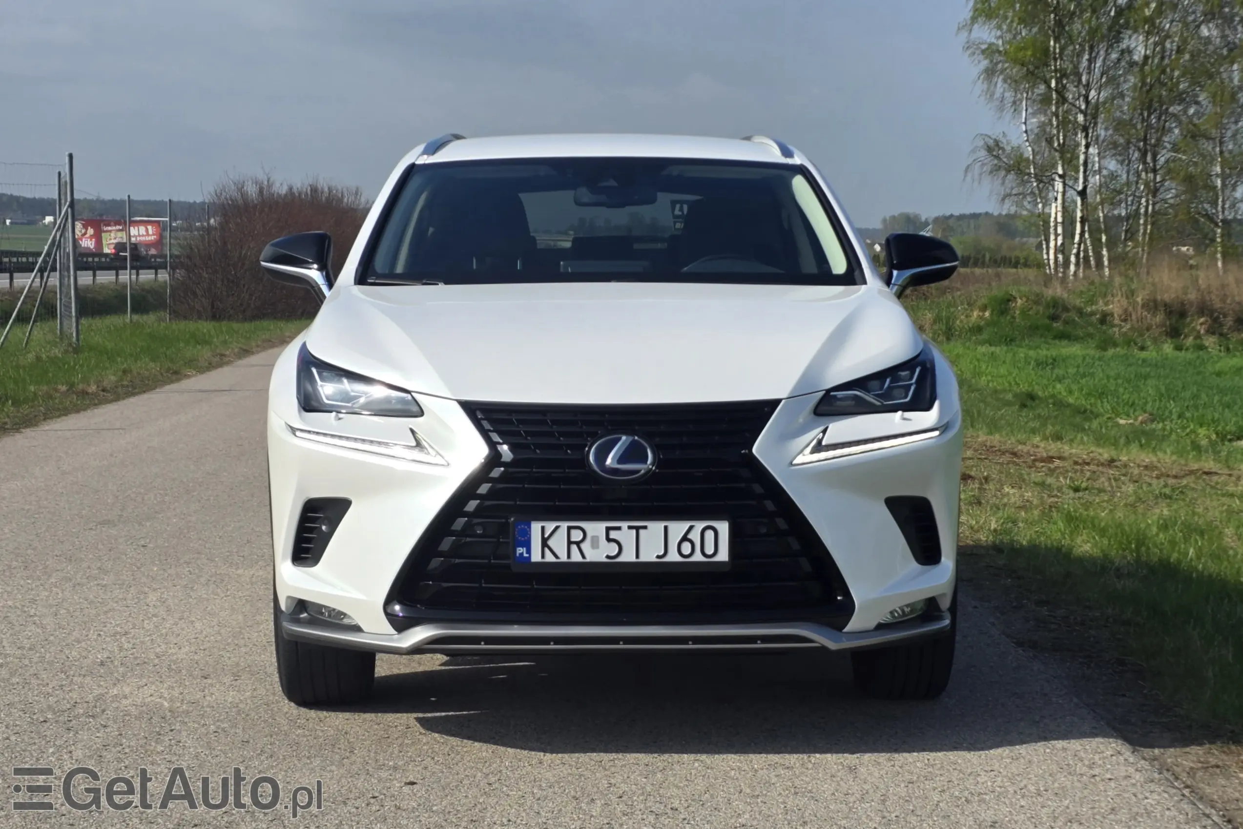 LEXUS NX E-Four Impression AWD