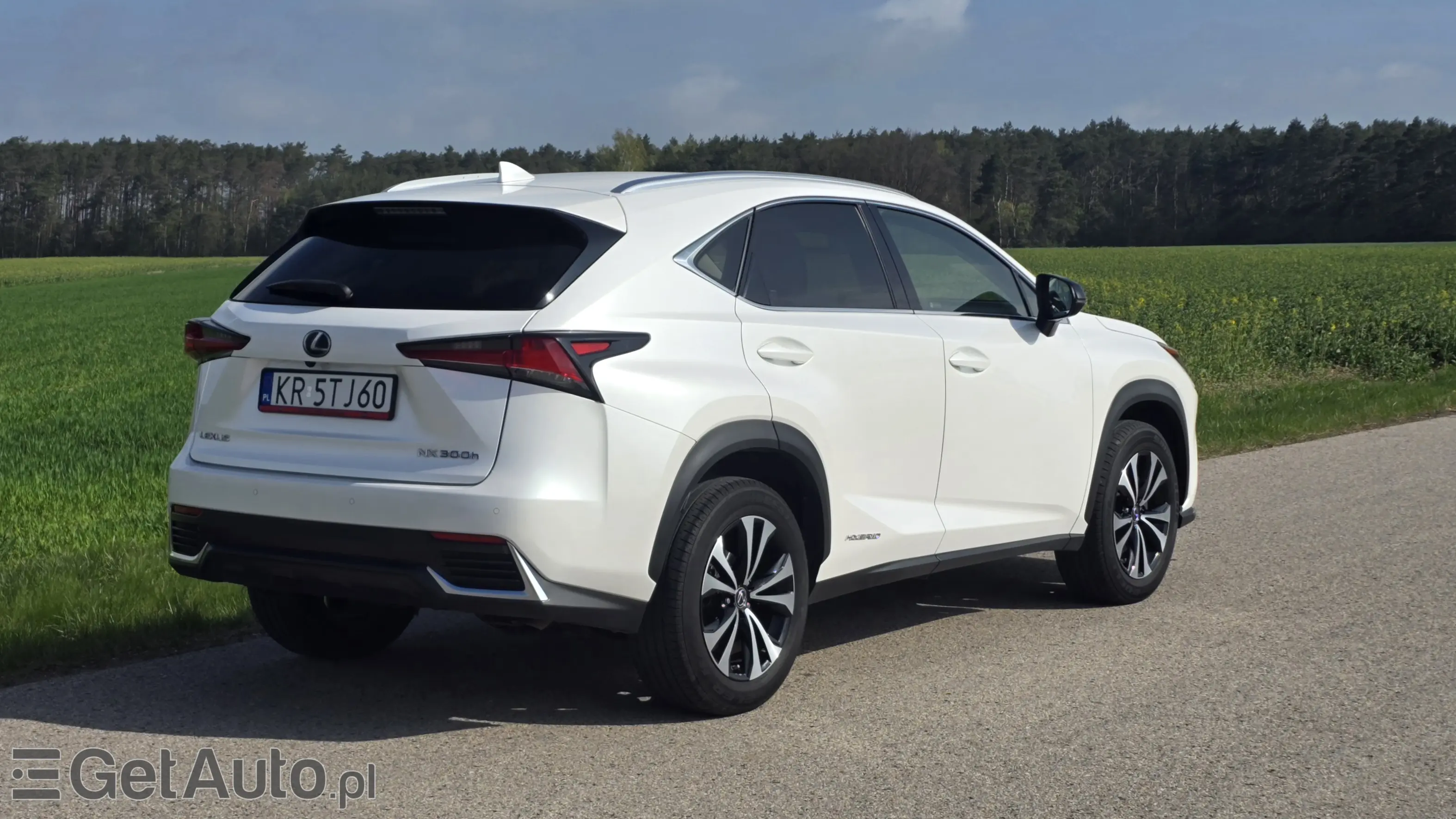 LEXUS NX E-Four Impression AWD