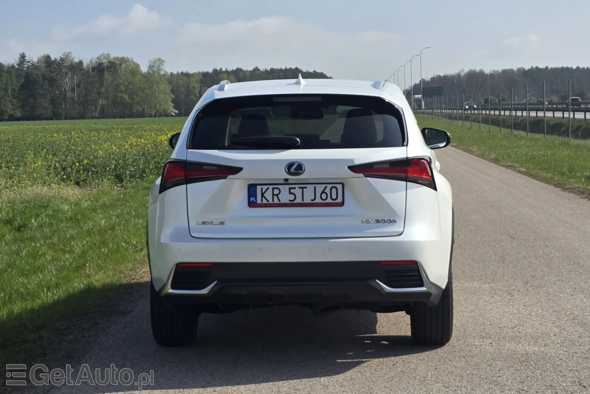 LEXUS NX E-Four Impression AWD
