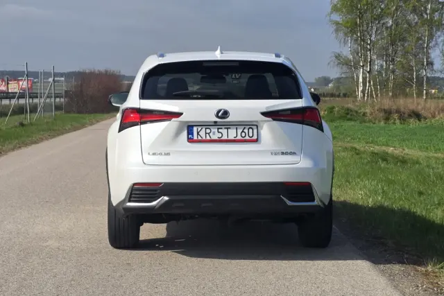 LEXUS NX E-Four Impression AWD