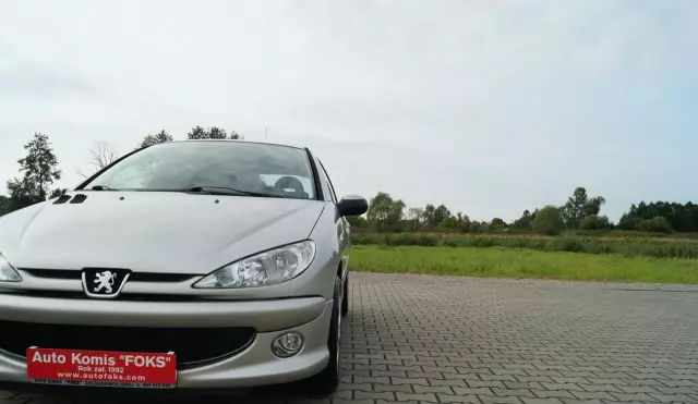 PEUGEOT 206 