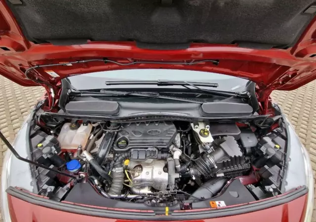 FORD Tourneo Connect Grand 