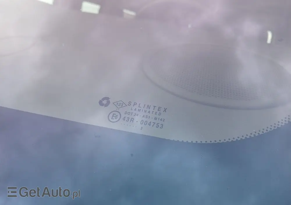 RENAULT Trafic FAP Passenger Black Edition