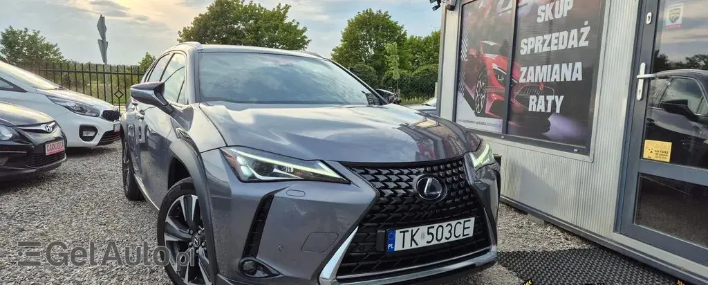 LEXUS UX 