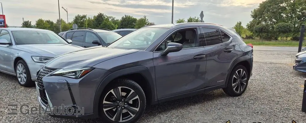 LEXUS UX 
