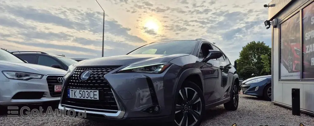 LEXUS UX 