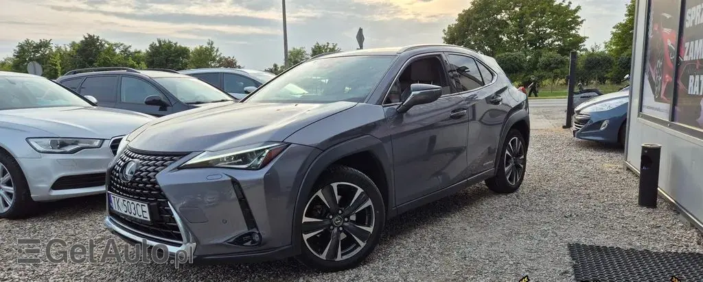 LEXUS UX 