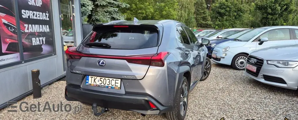LEXUS UX 
