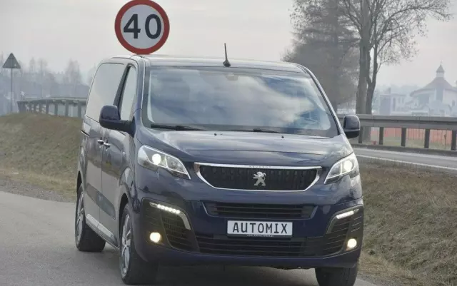 PEUGEOT Traveller 