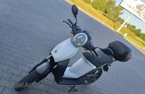 TORROT Inny 
